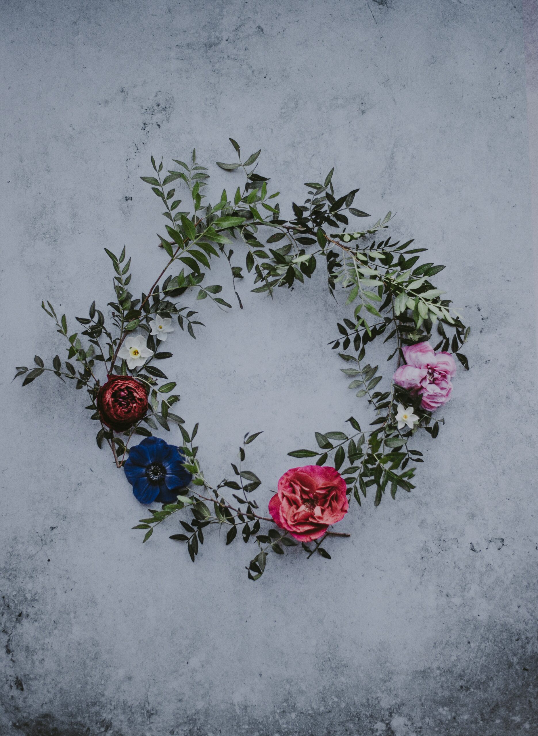 annie-spratt-kXqTlz4Ejhw-unsplash