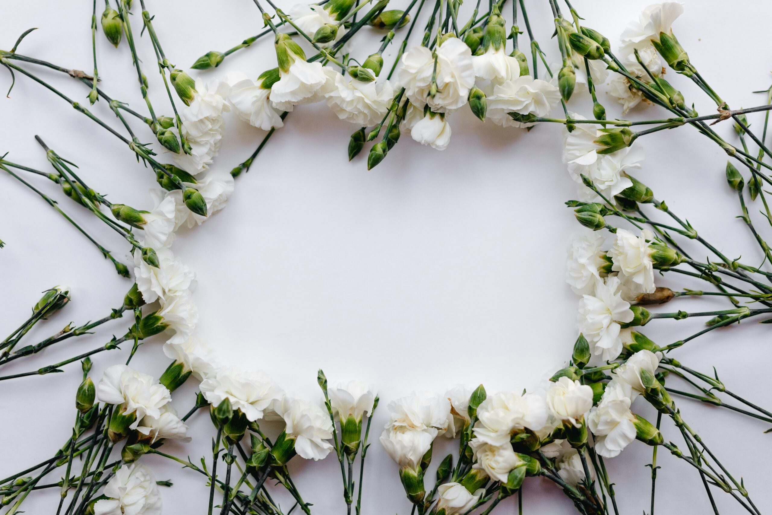 nathan-dumlao—OZtMyddAE-unsplash